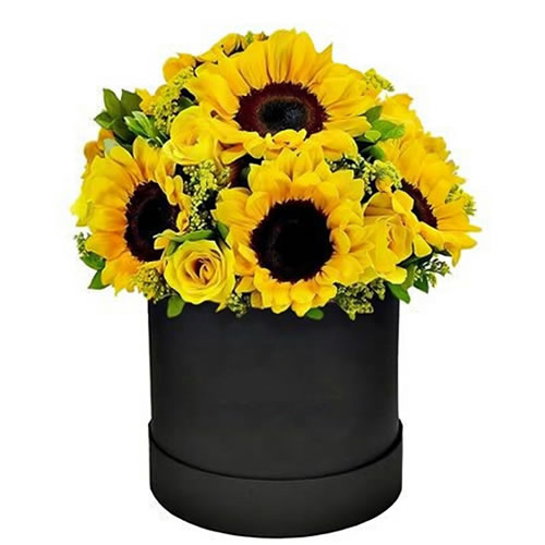 The Solar Box | Premium Floral Duo